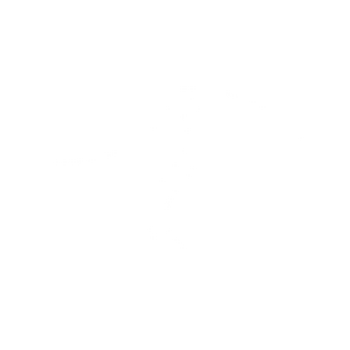 LRS Icon LRS Icon